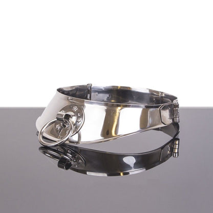 METAL HARD - RESTRAINT COLLAR WITH RING